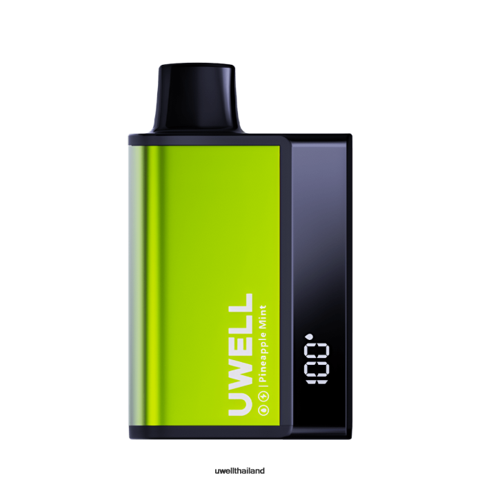 UWELL DL8000 บุหรี่ไฟฟ้าแบบใช้แล้วทิ้ง VPTB284 สะระแหน่สับปะรด - UWELL Disposable Vape